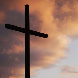 Meet your Posher, Gary